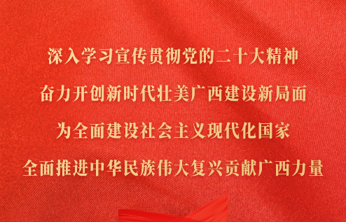 深入學(xué)習(xí)宣傳貫徹黨的二十大精神，奮力開(kāi)創(chuàng)新時(shí)代壯美廣西建設(shè)新局面，為全面建設(shè)社會(huì)主義現(xiàn)代化國(guó)家、全面推進(jìn)中華民族偉大復(fù)興貢獻(xiàn)廣西力量